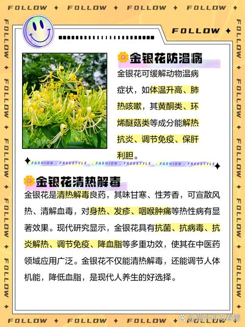 金银花扦插多长时间生根？金银花扦插成活后的移栽注意事项？-第6张图片-优品飞百科