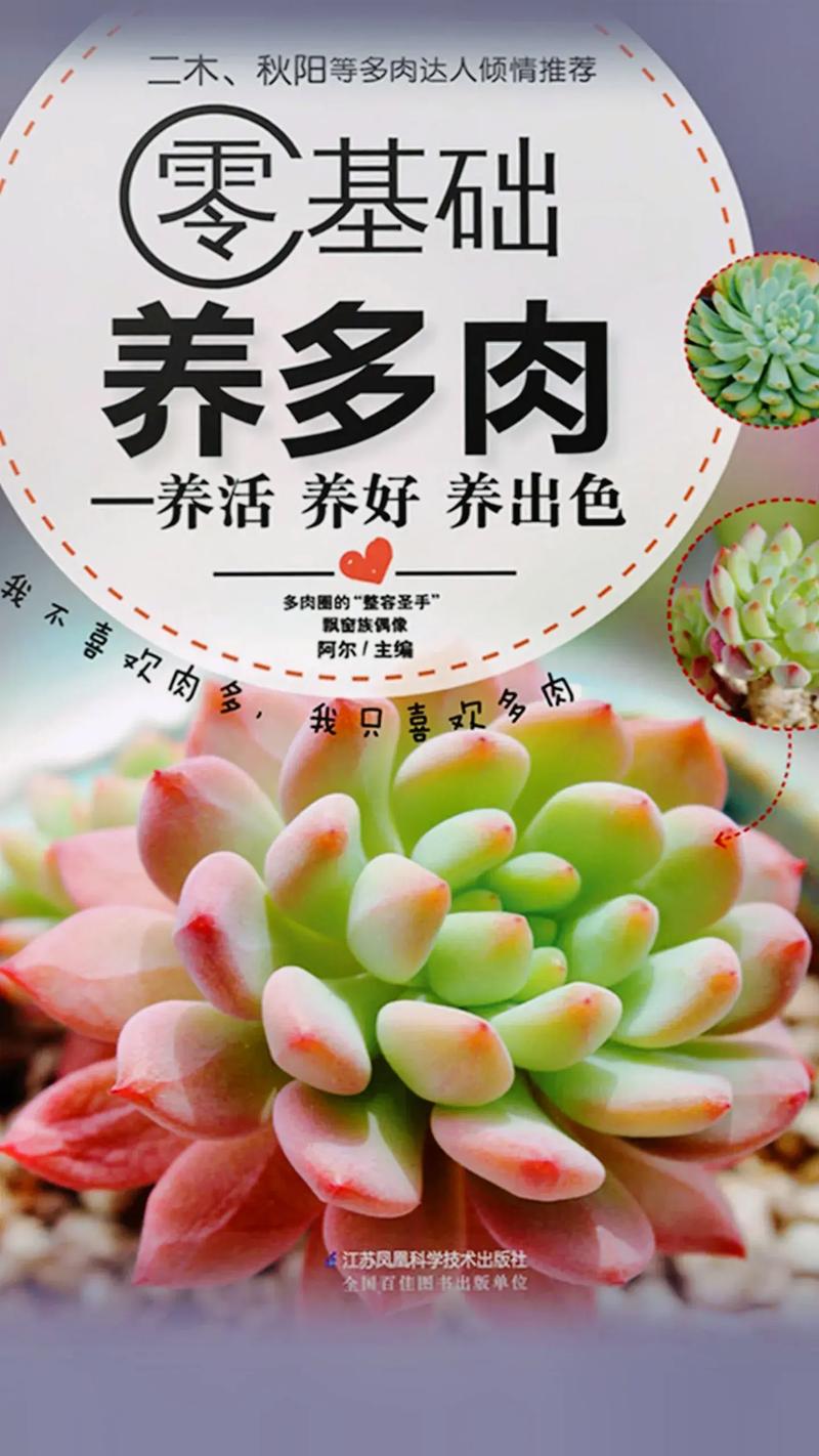 多肉植物多久浇一次水？多肉多久浇一次水新手入门教程？-第1张图片-优品飞百科