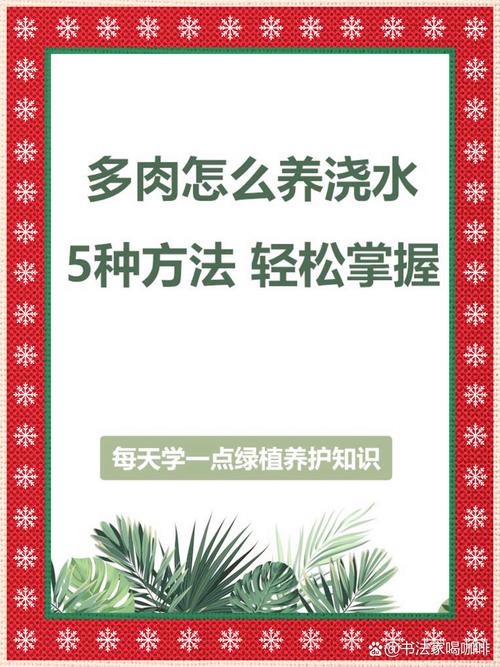 多肉植物多久浇一次水？多肉多久浇一次水新手入门教程？-第2张图片-优品飞百科