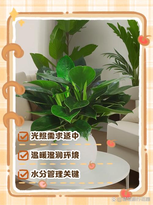 金钻浇什么水,金钻怎样浇水-第7张图片-优品飞百科 金钻浇什么水,金钻怎样浇水-第7张图片-优品飞百科