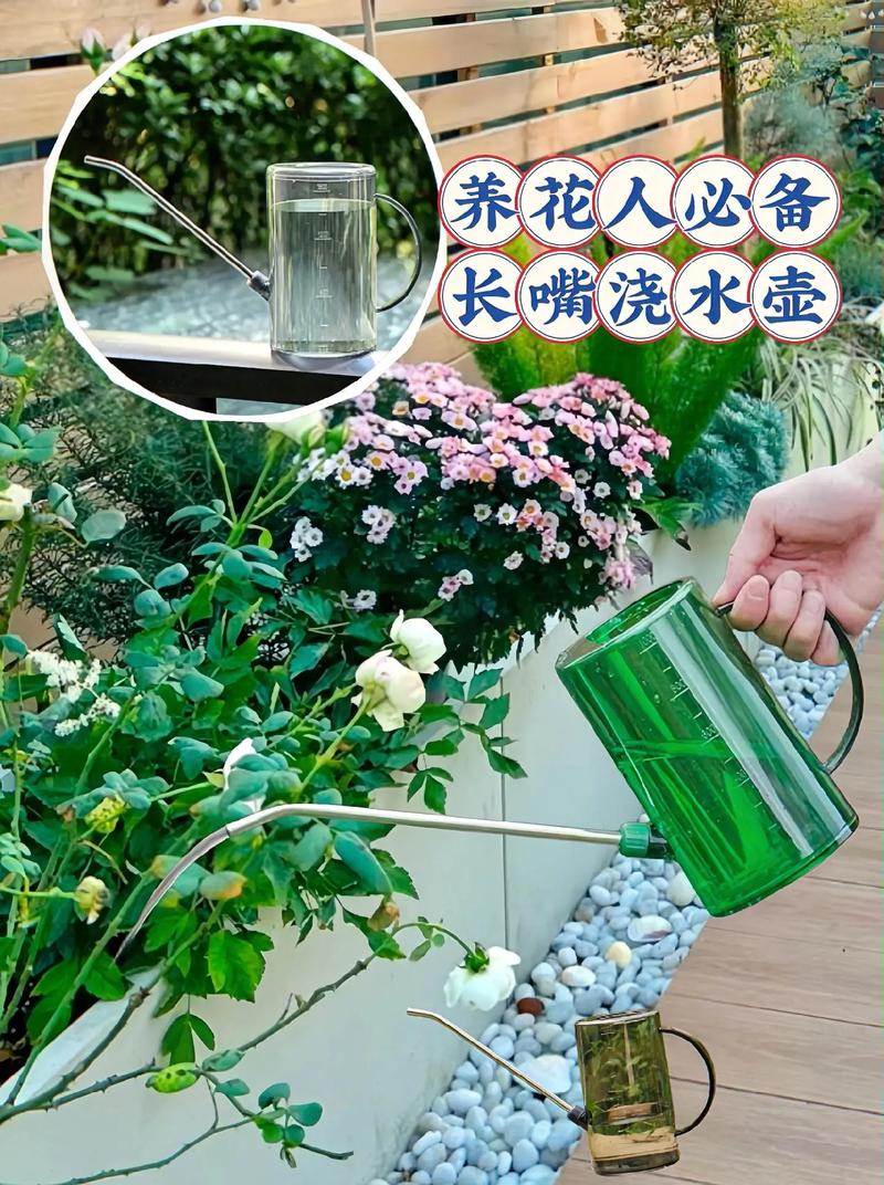 浇水时多做1件事?浇水有什么好处?-第4张图片-优品飞百科 浇水时多做1件事?浇水有什么好处?-第4张图片-优品飞百科