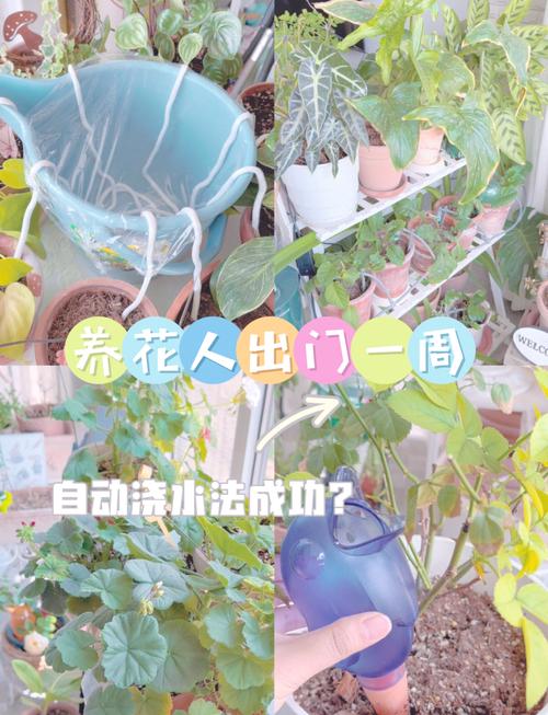 浇水时多做1件事?浇水有什么好处?-第5张图片-优品飞百科 浇水时多做1件事?浇水有什么好处?-第5张图片-优品飞百科