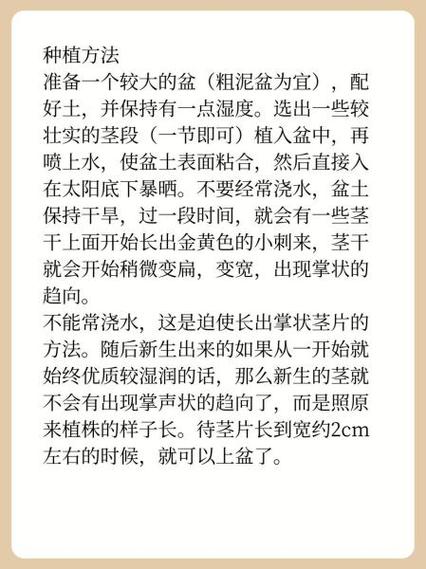 珊瑚树多肉怎么养，珊瑚树多肉的养殖方法和注意事项-第4张图片-优品飞百科