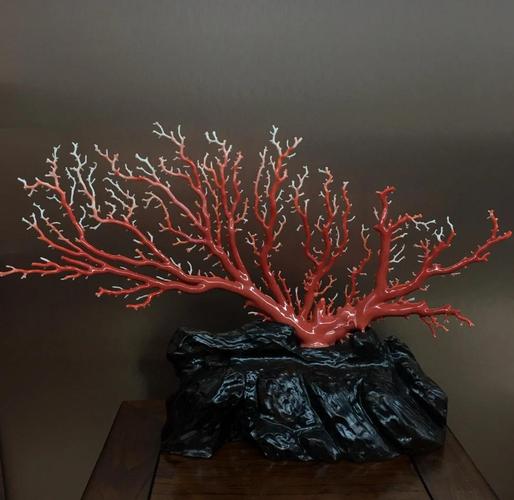 珊瑚树多肉怎么养，珊瑚树多肉的养殖方法和注意事项-第6张图片-优品飞百科