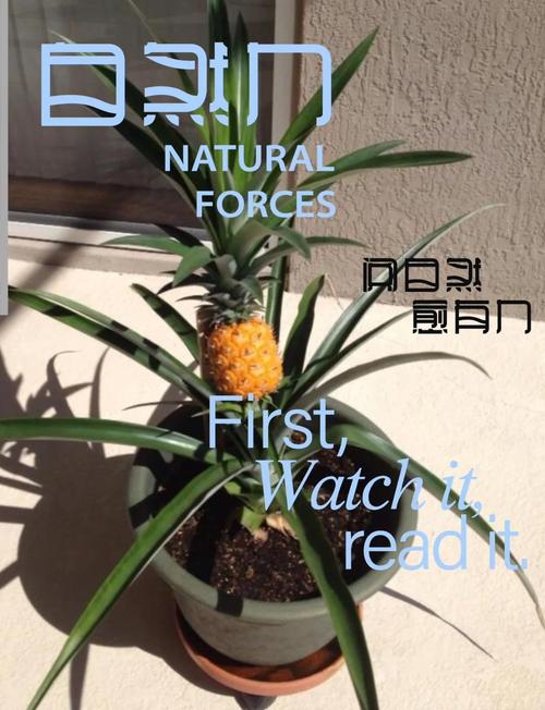 菠萝树怎么种？菠萝树怎样种？-第2张图片-优品飞百科