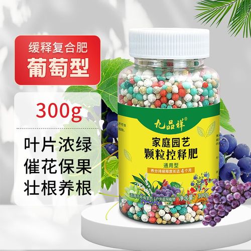 盆栽葡萄要施什么肥料,盆栽葡萄怎么施肥施什么肥好?-第5张图片-优品飞百科 盆栽葡萄要施什么肥料,盆栽葡萄怎么施肥施什么肥好?-第5张图片-优品飞百科