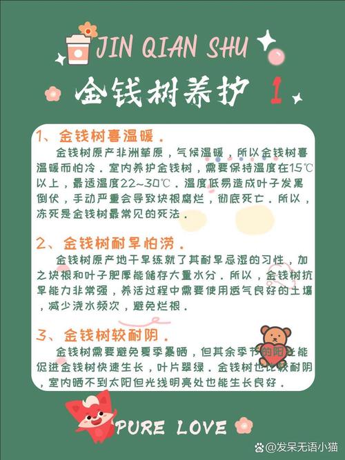 怎么让金钱树快长新芽，怎么让金钱树长高？-第1张图片-优品飞百科