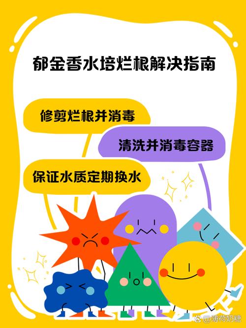 水培烂根一招全消灭，水培花卉烂根怎么办？-第8张图片-优品飞百科