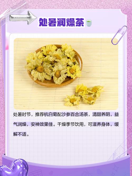 杭白菊怎么施肥?杭白菊栽培技术?-第1张图片-优品飞百科 杭白菊怎么施肥?杭白菊栽培技术?-第1张图片-优品飞百科