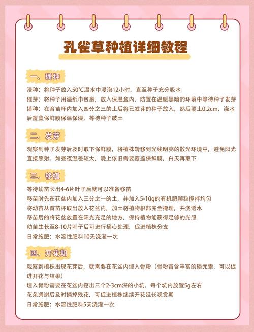 孔雀草用多大的盆种?孔雀草好养活吗?-第1张图片-优品飞百科 孔雀草用多大的盆种?孔雀草好养活吗?-第1张图片-优品飞百科