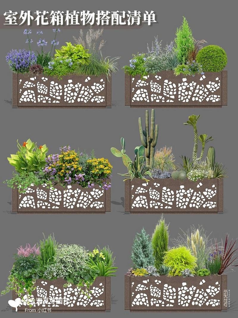 孔雀草用多大的盆种?孔雀草好养活吗?-第4张图片-优品飞百科 孔雀草用多大的盆种?孔雀草好养活吗?-第4张图片-优品飞百科