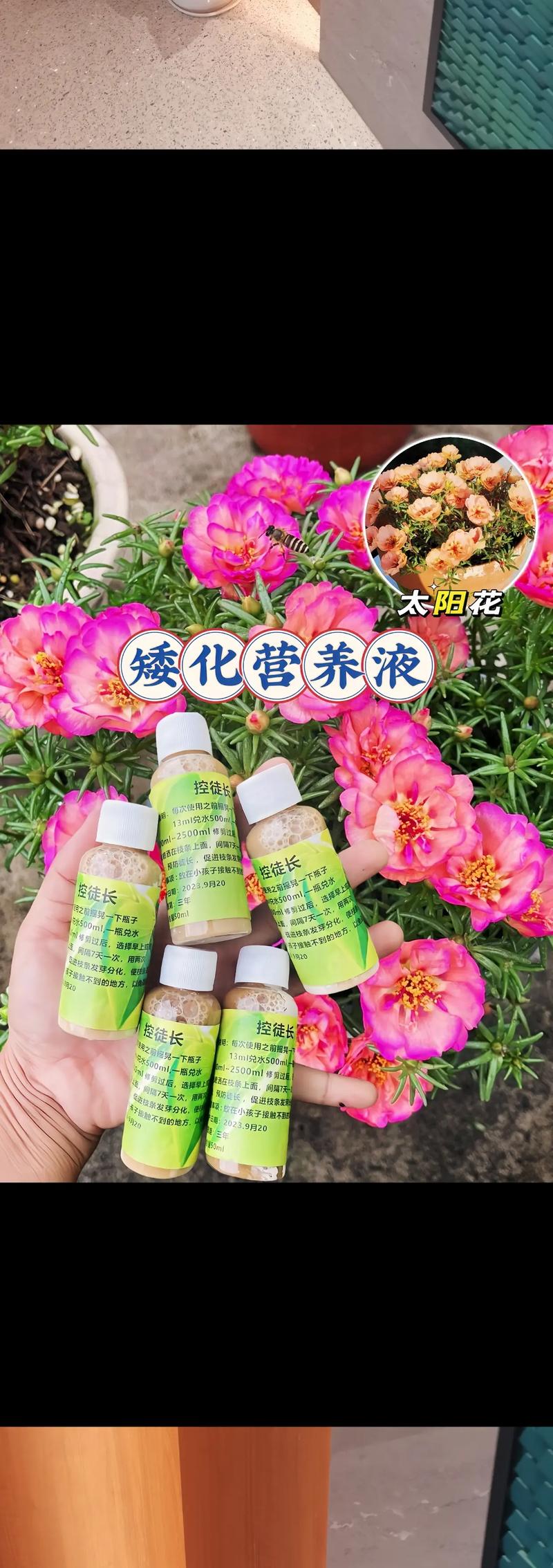 养花最厉害的“神仙水”？植物神仙水？-第3张图片-优品飞百科