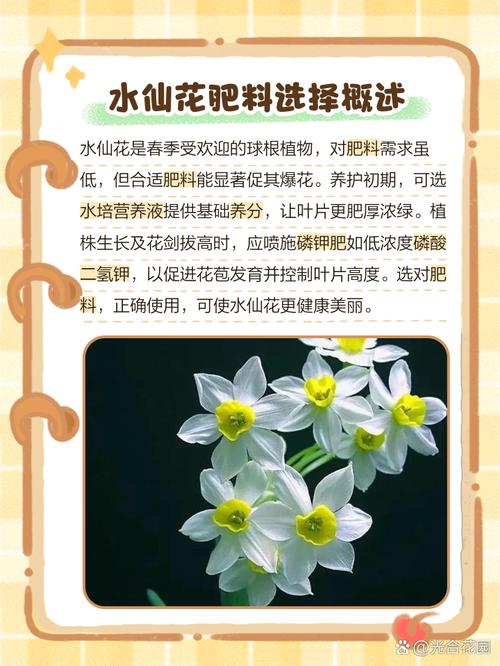 养花最厉害的“神仙水”？植物神仙水？-第5张图片-优品飞百科