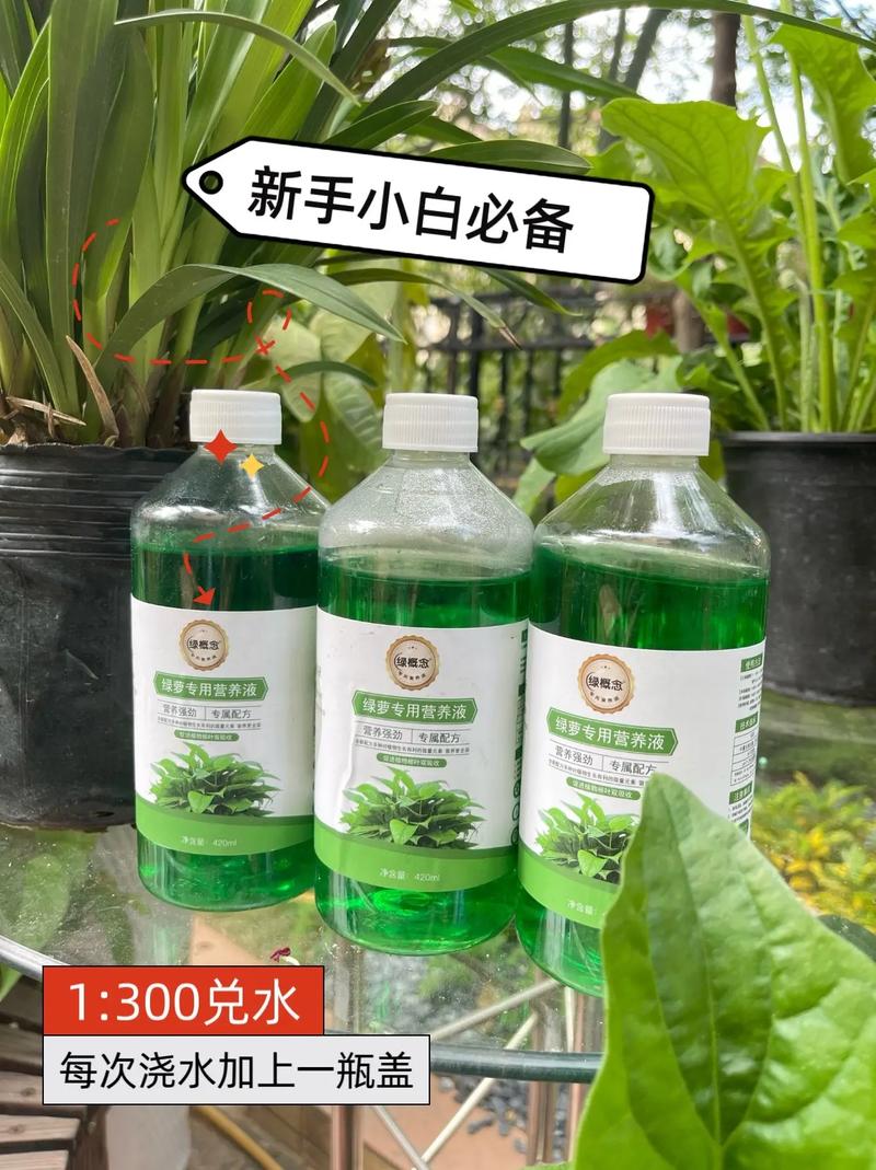 养花最厉害的“神仙水”？植物神仙水？-第6张图片-优品飞百科