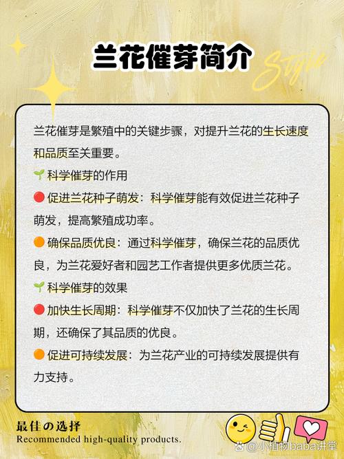 兰花发芽了要怎么养，兰花发芽了是否服盆了？-第5张图片-优品飞百科