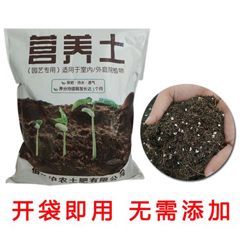 红豆杉用什么土栽培好,红豆杉适合用什么土?-第5张图片-优品飞百科 红豆杉用什么土栽培好,红豆杉适合用什么土?-第5张图片-优品飞百科