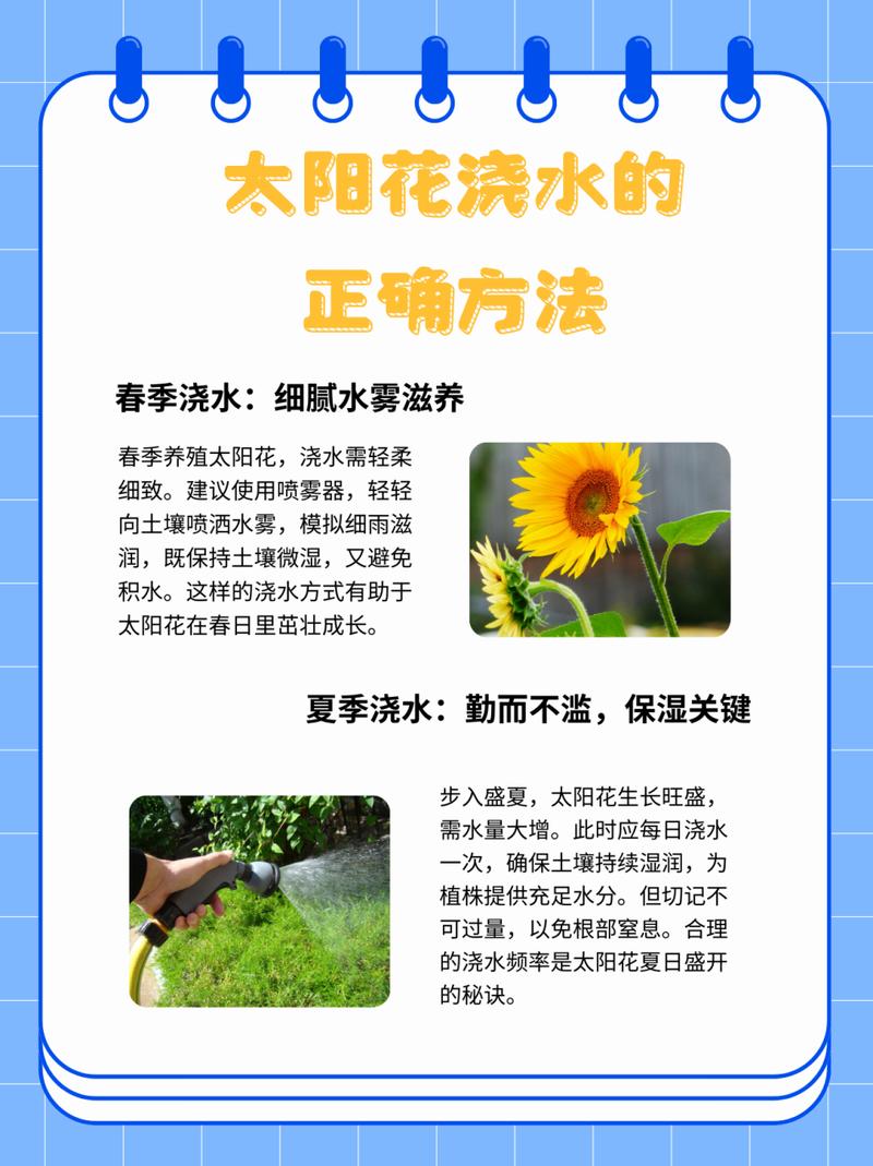 盆栽太阳花的养殖方法和注意事项?太阳花盆栽怎么养?-第5张图片-优品飞百科 盆栽太阳花的养殖方法和注意事项?太阳花盆栽怎么养?-第5张图片-优品飞百科