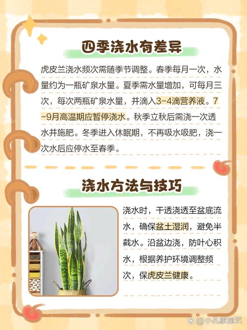 虎皮兰怎么浇水？虎皮兰怎么浇水,夏天一天浇几次水？-第3张图片-优品飞百科