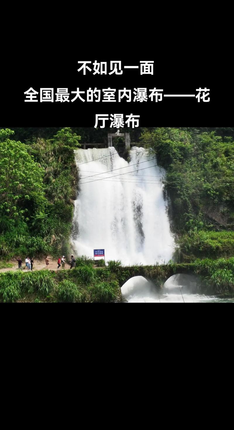 长寿蹭蹭猛蹿？请问长寿？