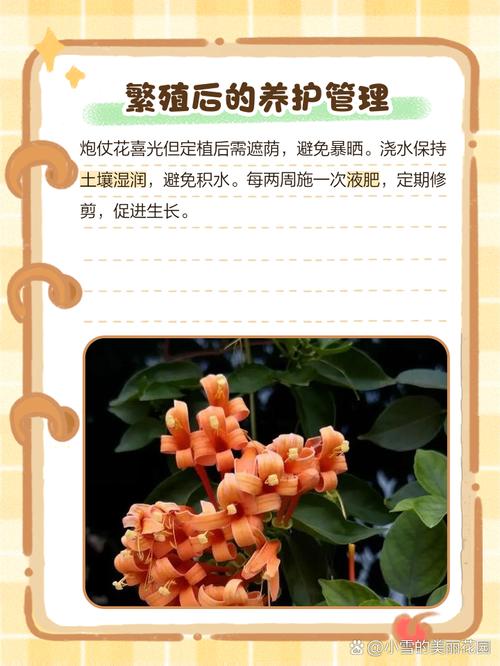 炮仗花可以扦插吗,炮仗花扦插多久生根-第2张图片-优品飞百科 炮仗花可以扦插吗,炮仗花扦插多久生根-第2张图片-优品飞百科