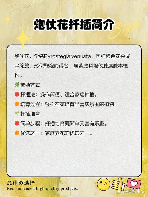 炮仗花可以扦插吗,炮仗花扦插多久生根-第5张图片-优品飞百科 炮仗花可以扦插吗,炮仗花扦插多久生根-第5张图片-优品飞百科