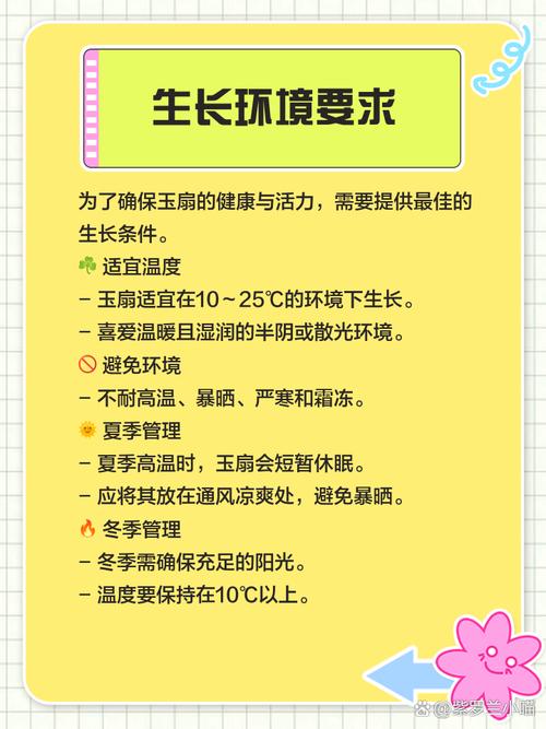 多肉植物玉扇怎么养，多肉玉扇怎么养出好的窗面？