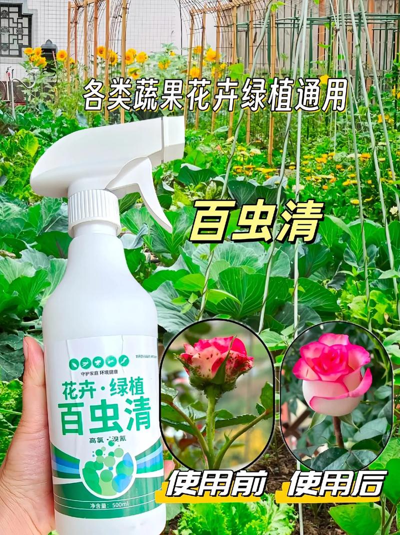 浇花加点小药片，浇花加点小药片好吗？-第5张图片-优品飞百科