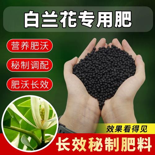 白玉兰怎么施肥，白玉兰施什么肥