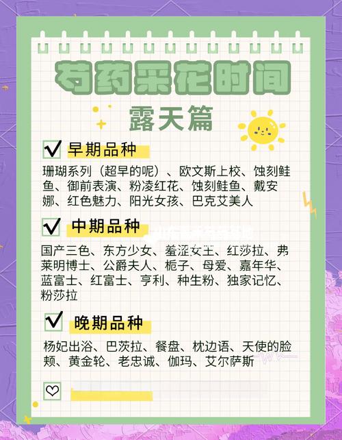 芍药分株一般在什么时间，芍药分栽？-第4张图片-优品飞百科