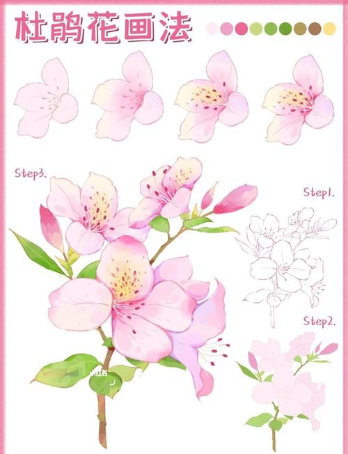 杜鹃如何养护四季开花，杜鹃花开怎么养护？-第2张图片-优品飞百科