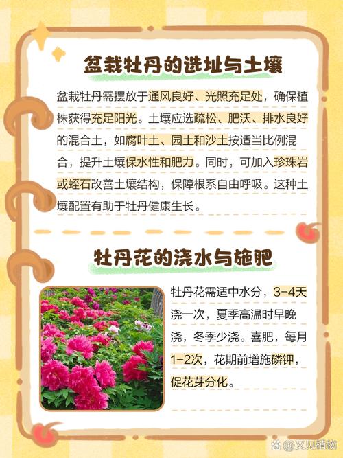 新买的牡丹怎么养？新栽的牡丹如何护理？-第3张图片-优品飞百科