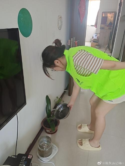 盆里埋上1斤油,装油的盆子-第3张图片-优品飞百科 盆里埋上1斤油,装油的盆子-第3张图片-优品飞百科