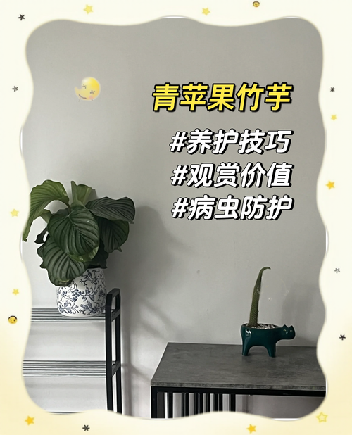 圆叶竹芋如何养，原叶竹芋-第6张图片-优品飞百科