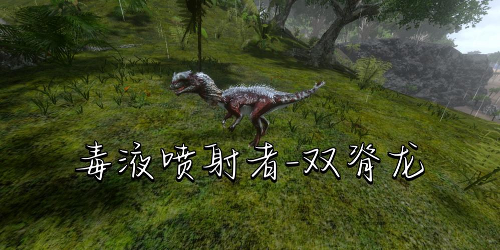 飞龙繁殖方法，飞龙繁殖方法图解？-第3张图片-优品飞百科