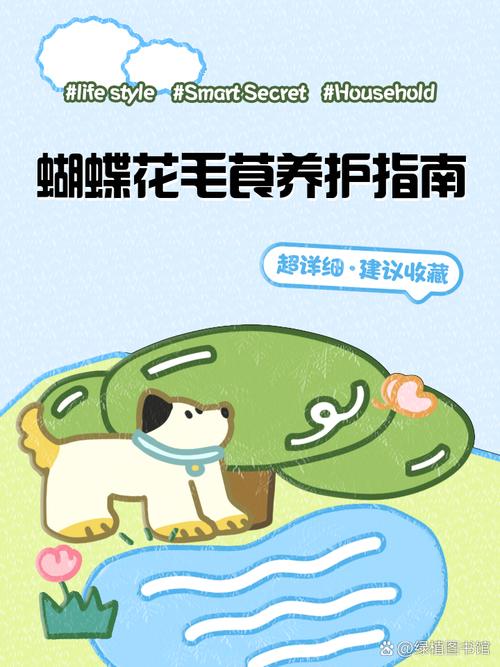 花毛茛怎么过冬？花毛茛的养殖注意事项？-第4张图片-优品飞百科