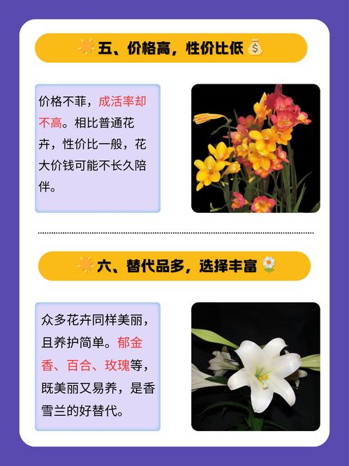 兰花水大和缺水的区别，兰花水大和缺水干尖的区别-第5张图片-优品飞百科