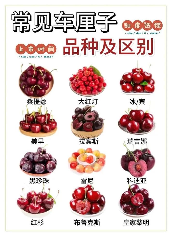 大樱桃品种有哪些，大樱桃品种有哪些品种