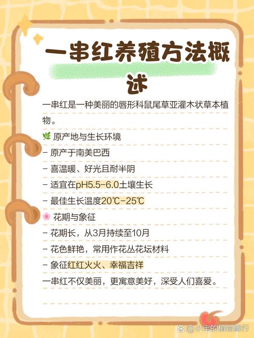 一串红秋天怎么养,一串红秋天开花吗-第1张图片-优品飞百科 一串红秋天怎么养,一串红秋天开花吗-第1张图片-优品飞百科