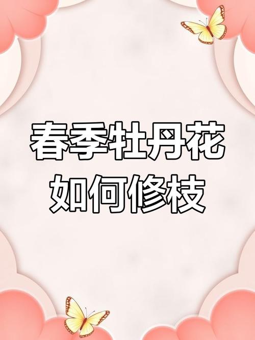 牡丹花怎么修剪？牡丹花怎么修剪枝条才能不长高？-第6张图片-优品飞百科