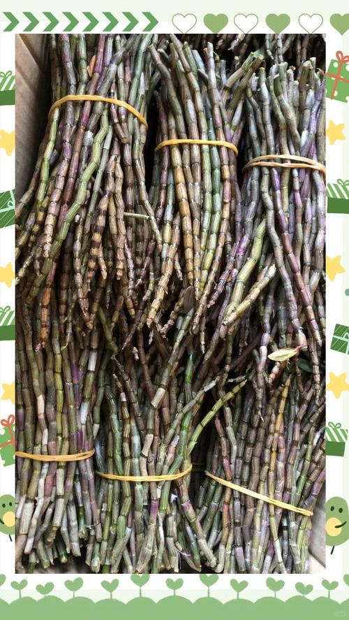 石斛如何保存,石斛如何保存比较好-第3张图片-优品飞百科 石斛如何保存,石斛如何保存比较好-第3张图片-优品飞百科