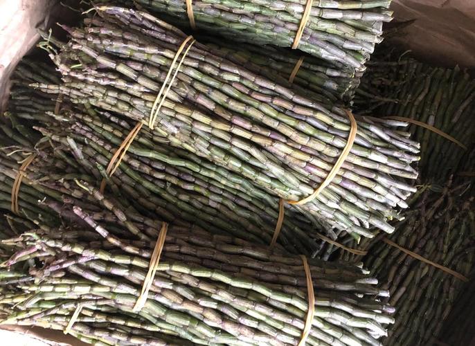 石斛如何保存,石斛如何保存比较好-第6张图片-优品飞百科 石斛如何保存,石斛如何保存比较好-第6张图片-优品飞百科