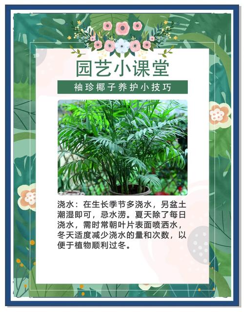 袖珍椰子秋天怎么养，袖珍椰子秋天多久浇一次水