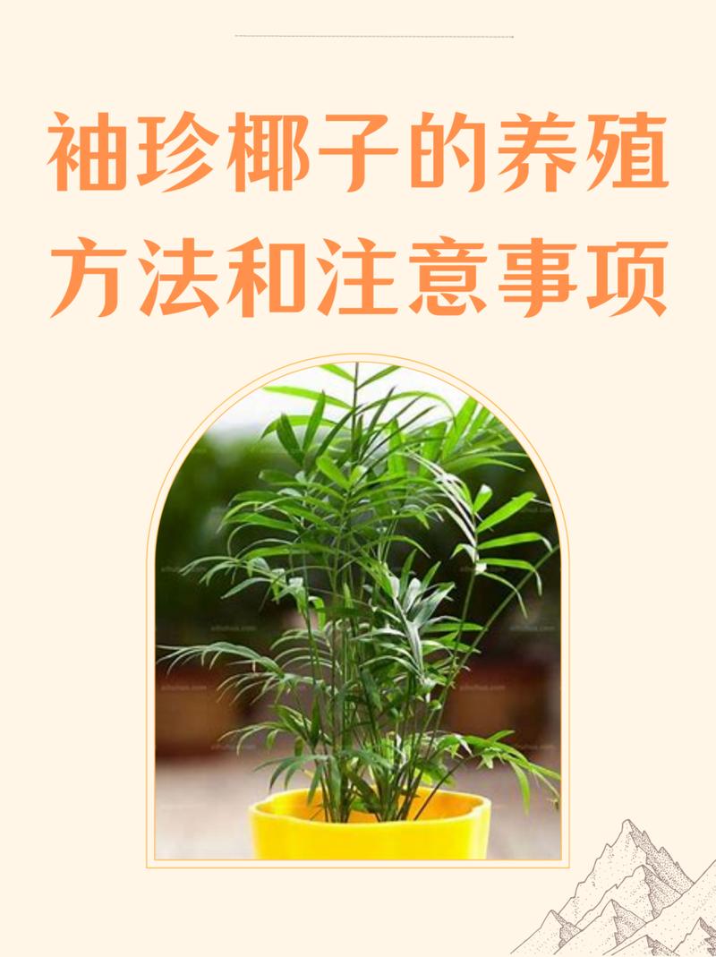 袖珍椰子秋天怎么养，袖珍椰子秋天多久浇一次水-第2张图片-优品飞百科