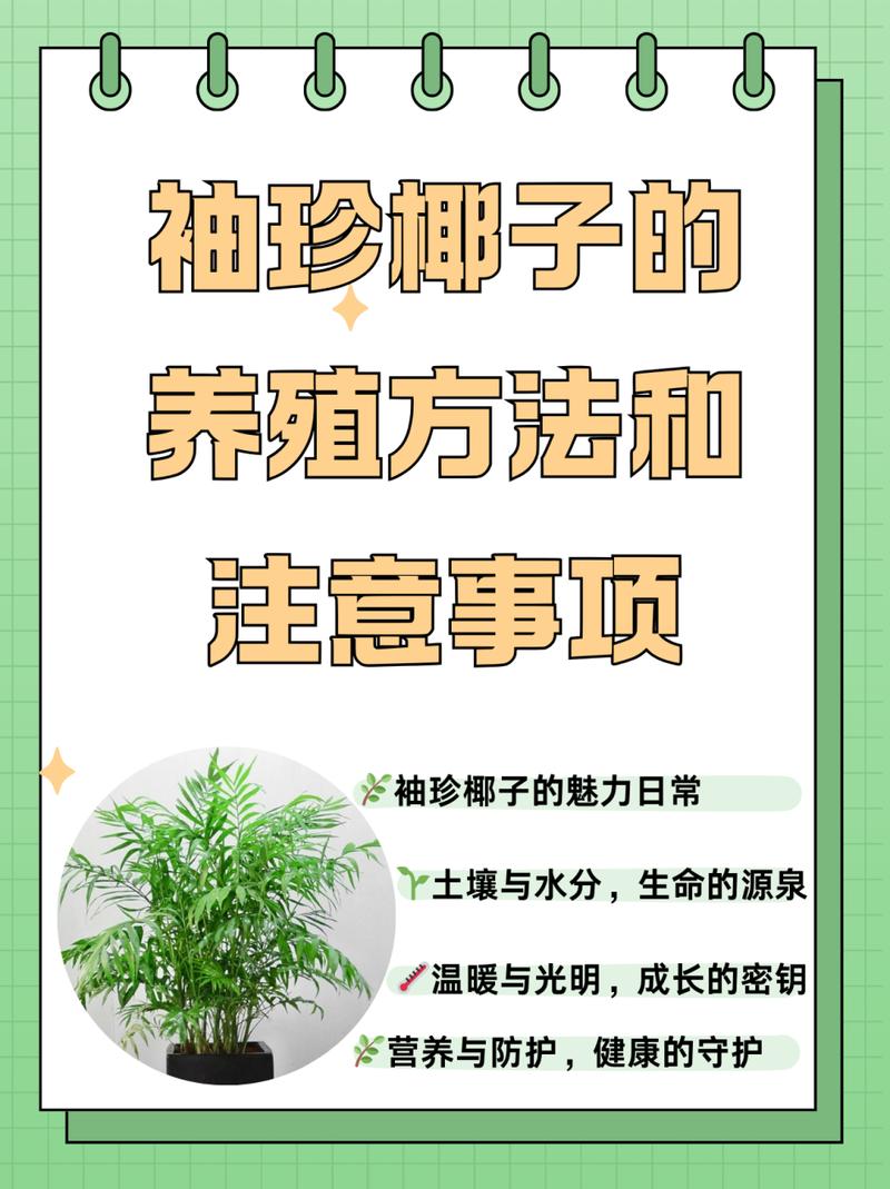 袖珍椰子秋天怎么养，袖珍椰子秋天多久浇一次水-第4张图片-优品飞百科
