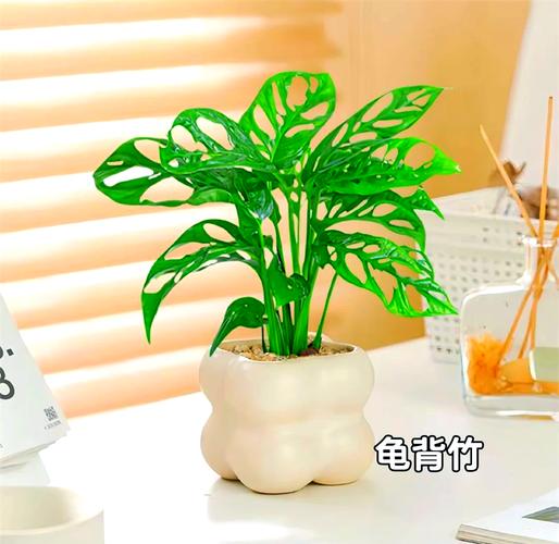 袖珍椰子秋天怎么养，袖珍椰子秋天多久浇一次水-第5张图片-优品飞百科