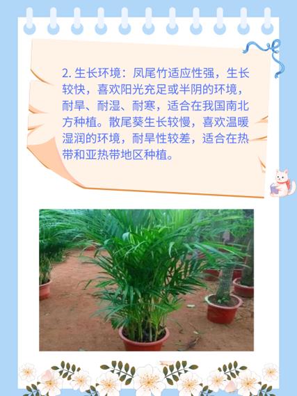 凤尾竹种子怎么种？凤尾竹种子怎么种的？-第4张图片-优品飞百科