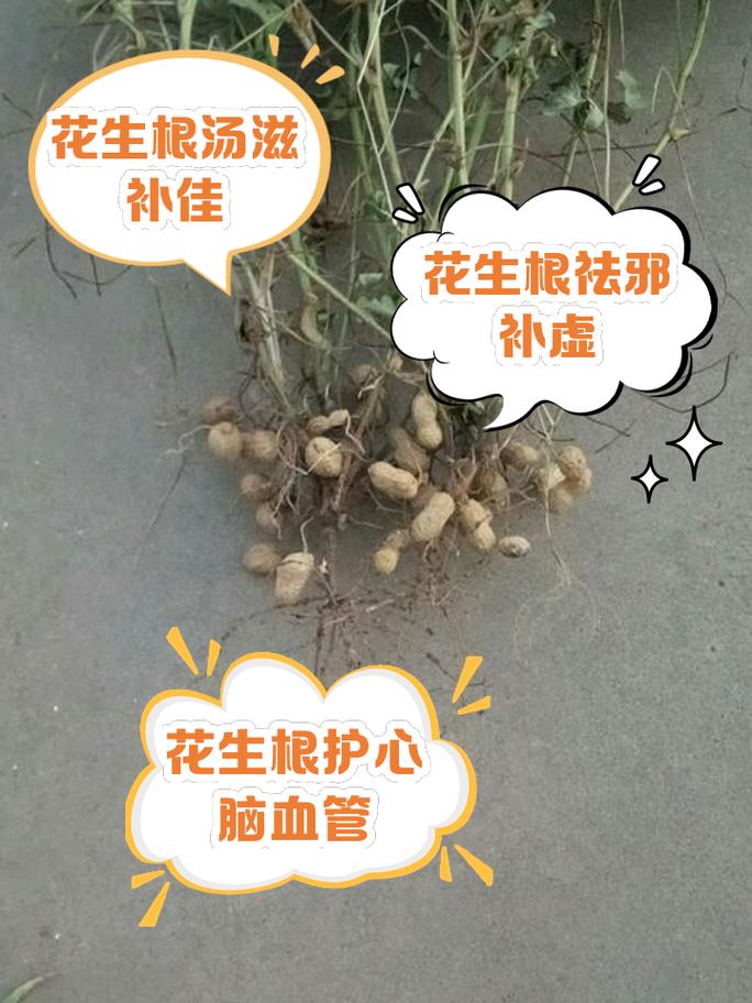 养花先“养根”？养花先养根,盆里扔几种东西,生长势头更加旺盛？-第3张图片-优品飞百科