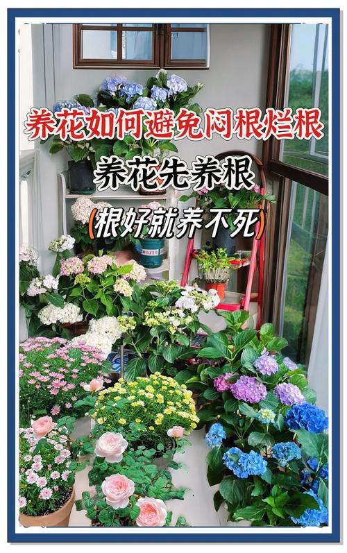 养花先“养根”？养花先养根,盆里扔几种东西,生长势头更加旺盛？-第8张图片-优品飞百科