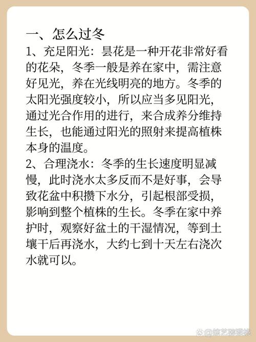 昙花冬季怎么养，昙花冬天怎么养殖？-第6张图片-优品飞百科