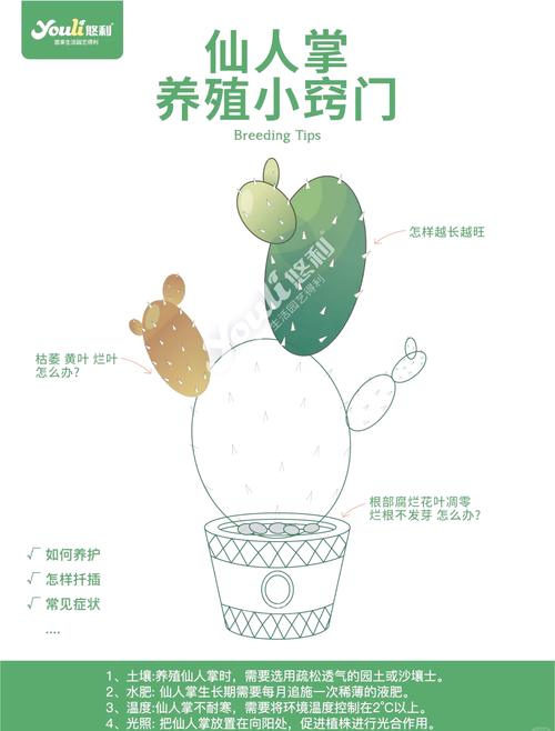 王冠龙的繁殖方法，王冠龙的繁殖方法有哪些？